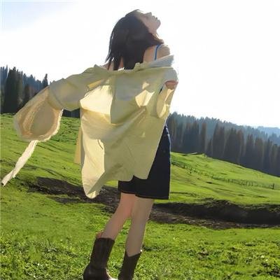 一落千丈:波音大调查 海报
