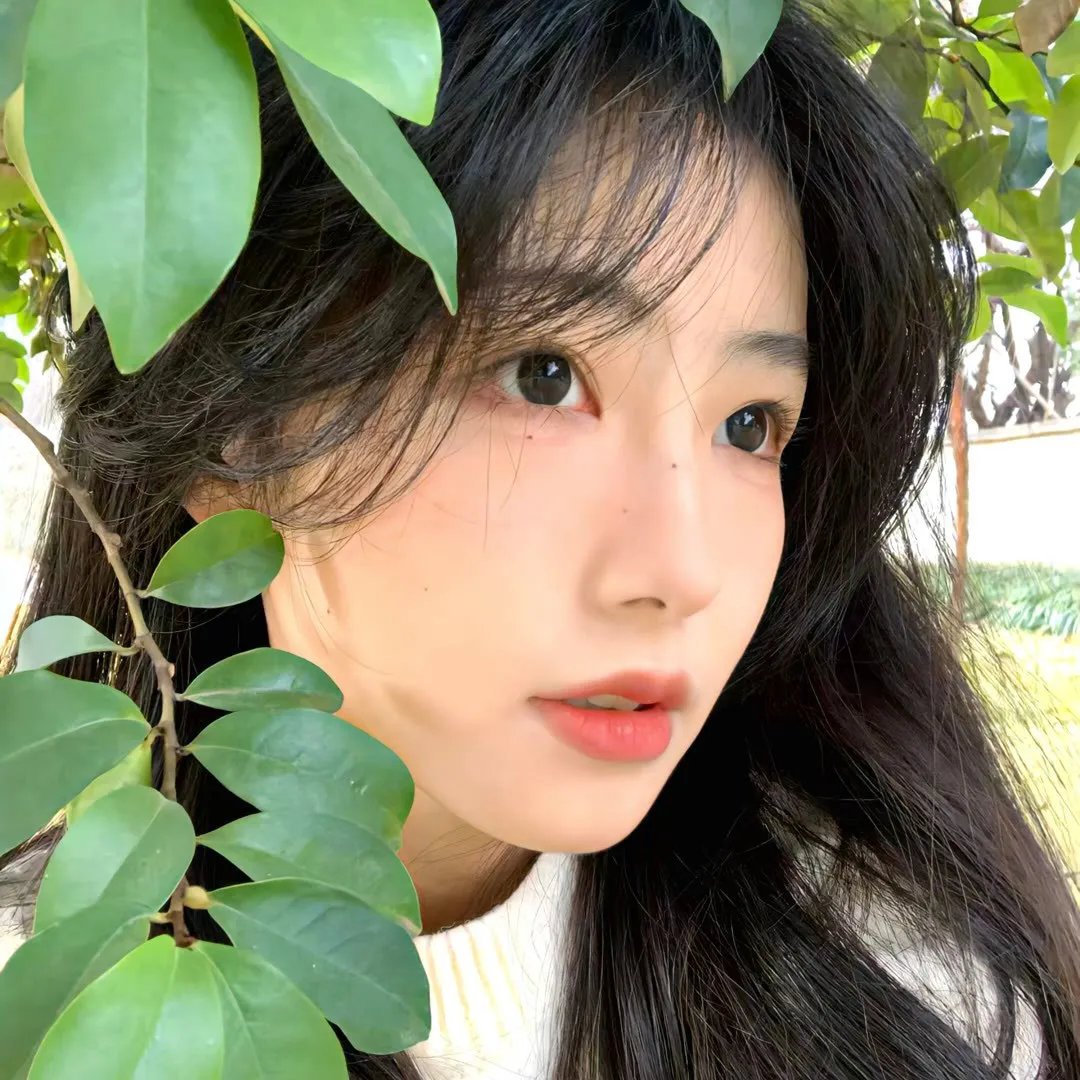 大唐女法医 海报