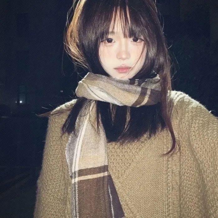 双花镜 海报