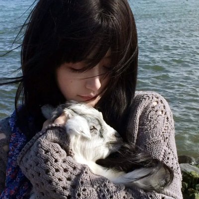 叛奴 海报